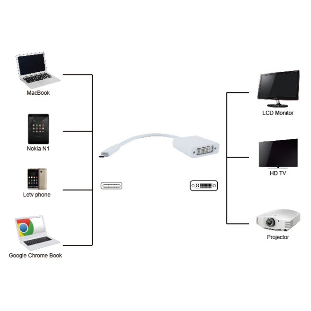 POWERTECH αντάπτορας USB Type-C σε DVI PTH-036, 4K, λευκό