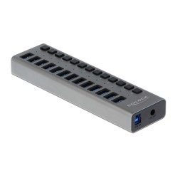 DELOCK USB hub 63738 με διακόπτες, 13x θυρών, 5Gbps, γκρι