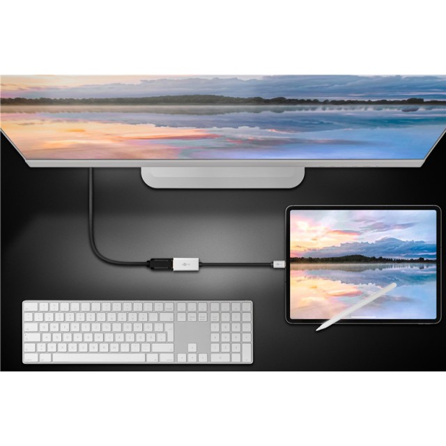 GOOBAY αντάπτορας USB-C σε DisplayPort 60195, 8K/30Hz, 4K/120Hz, γκρι