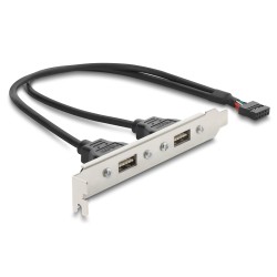 DELOCK κάρτα επέκτασης USB 9pin σε 2x USB 2.0 91800, 480Mbps