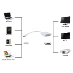 POWERTECH αντάπτορας USB Type-C σε DVI PTH-036, 4K, λευκό