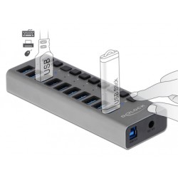 DELOCK USB hub 63670 με διακόπτες, 10x θυρών, 5Gbps, γκρι