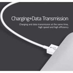 USAMS καλώδιο USB-C σε USB US-SJ285, 10W, 1m, λευκό