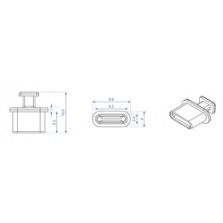 DELOCK κάλυμμα προστασίας για θύρα USB-C 64013 με λαβή, μαύρο, 10τμχ