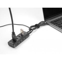 DELOCK USB hub 64233 με διακόπτες, 4 θυρών, 10Gbps, USB-C σύνδεση, μαύρο