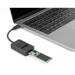 DELOCK αντάπτορας USB-C σε M.2 NVMe PCIe/SATA SSD 64198, 10Gbps