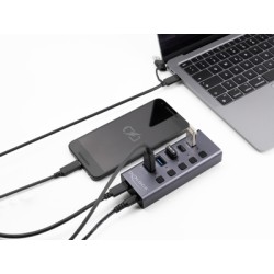 DELOCK USB hub 64248 με διακόπτες, 5x θυρών, 5Gbps, USB/USB-C σύνδεση, γκρι