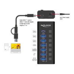 DELOCK USB hub 64326 με διακόπτες, 7x θυρών, 10Gbps, USB/USB-C σύνδεση, μαύρο