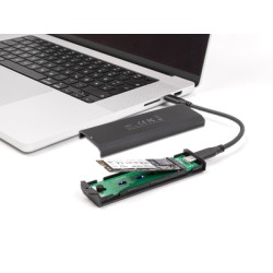 DELOCK θήκη για M.2 NVMe PCIe/SATA SSD 42031, 20Gbps, tool free, μαύρη
