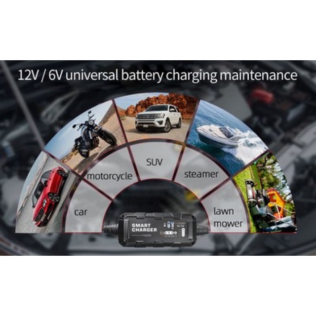 BYGD φορτιστής & συντηρητής μπαταρίας αυτοκινήτου F10000, 6V/2A 12V/10A