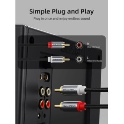 CABLETIME καλώδιο ήχου 2x RCA σε 2x RCA CT-RCA, 1m, μαύρο
