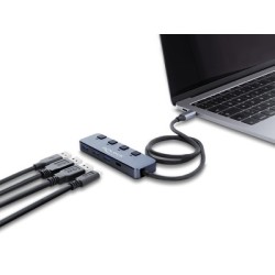DELOCK USB-C hub 64384 με διακόπτες, 4x θυρών, 10Gbps, USB-C σύνδεση, γκρι