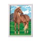 Paint & Frame Paint by Numbers Wild Horse Για Ηλικίες 9+ Χρονών Paint & Frame Paint by Numbers Wild Horse Για Ηλικίες 9+ Χρονών