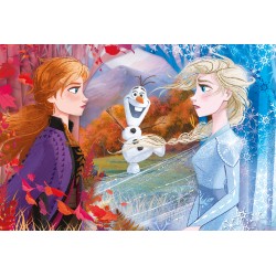 Clementoni Παιδικό Παζλ Maxi Super Color Frozen 2 60 τμχ