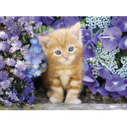 Clementoni Παζλ High Quality Collection Γατάκι Με Γαλανά Ματάκια 500 τμχ