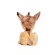 Disney Λούτρινο Bambi 17εκ