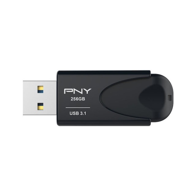 PNY FD256ATT431KK-EF