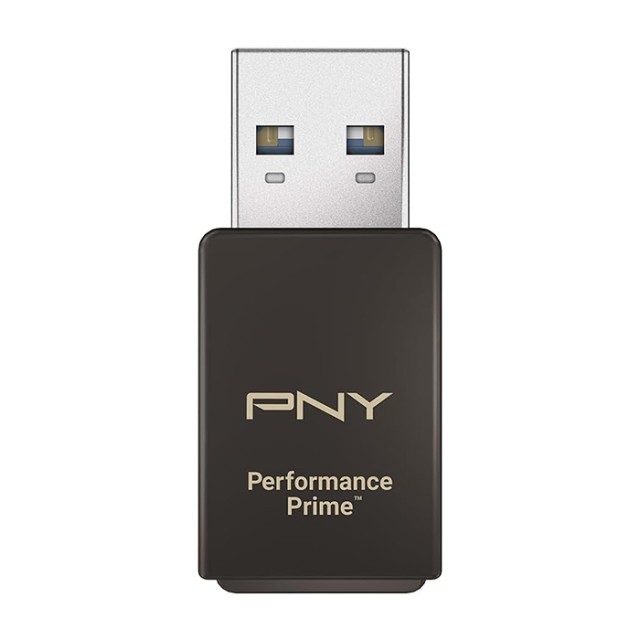 PNY P-CRUAUSDDG3CPPR-GE