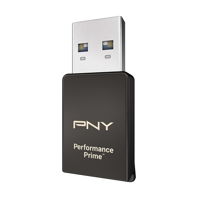 PNY P-CRUAUSDDG3CPPR-GE