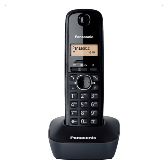 PANASONIC KX-TG1611GRH