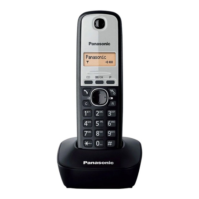 PANASONIC KX-TG1611GRG
