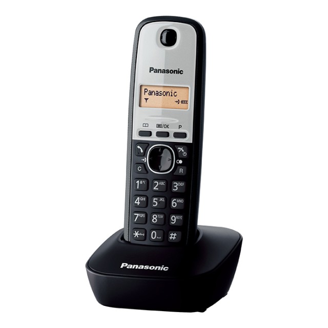 PANASONIC KX-TG1611GRG