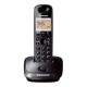 PANASONIC KX-TG2511GRT