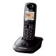 PANASONIC KX-TG2511GRT