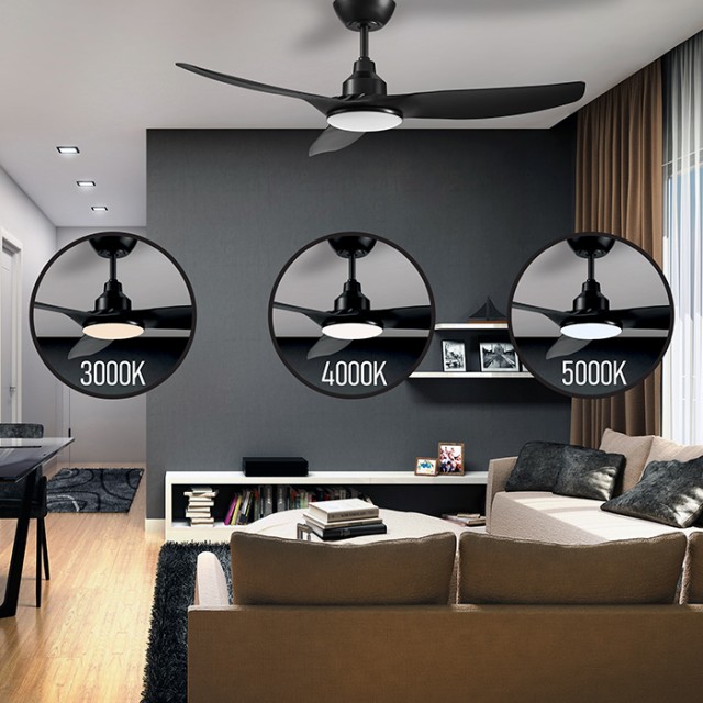 LiFE APELIOTES NIGHT