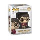 Funko Pop!: Harry Potter - Harry Potter (with The Stone) #132 Vinyl Figure