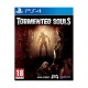 PS4 Tormented Souls