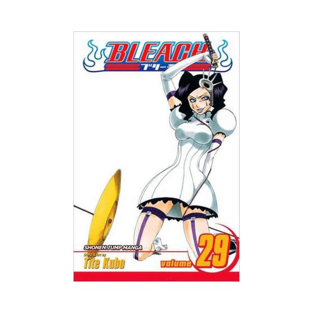 Viz Bleach Vol. 29 Paperback Manga