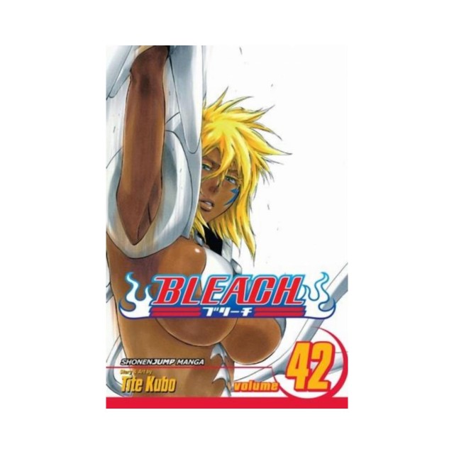 Viz Bleach Vol. 42 Paperback Manga