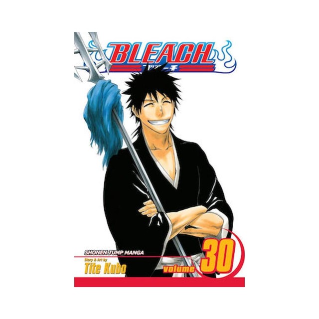 Viz Bleach Vol. 30 Paperback Manga