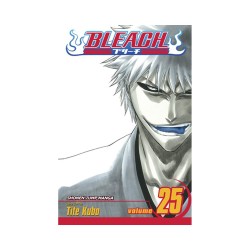 Viz Bleach Vol. 25 Paperback Manga