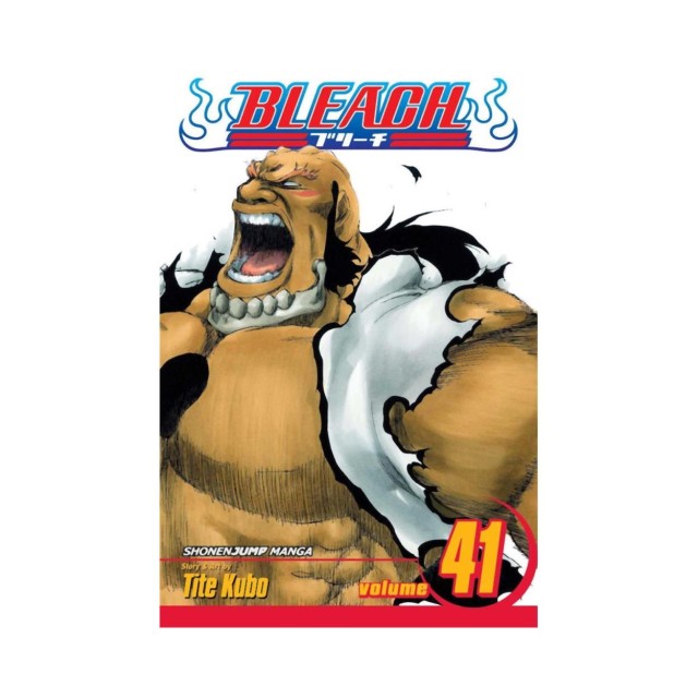 Viz Bleach Vol. 41 Paperback Manga