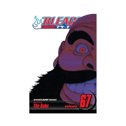 Viz Bleach Vol. 67 Paperback Manga