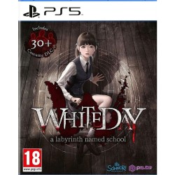 PS5 White Day: A Labyrinth Named School