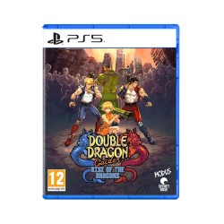 PS5 Double Dragon Gaiden: Rise of the Dragons