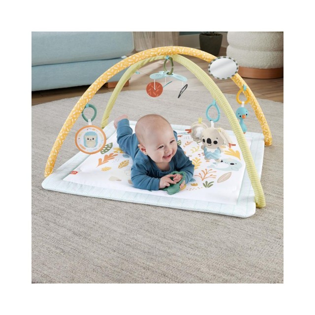 Fisher-Price® Simply Senses Newborn Gym (HRB15)