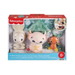 Fisher-Price® So Many Senses Gift Set (HRB17)