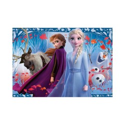 Ravensburger Puzzle: Disney - Frozen II (2x12pcs) (5009)