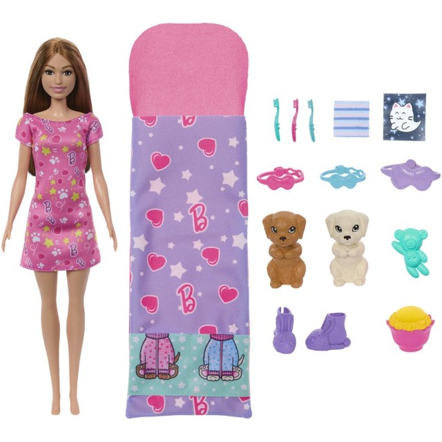 Mattel Barbie: Puppy Slumber Party Doll (HXN01)