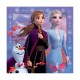 Ravensburger Puzzle Disney: Frozen 2 - The Journey Starts (3x49pcs) (5011)