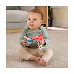 Fisher Price®: Planet Friends - Shake 'n Rattle Busy Bee (HYR56)