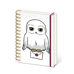 Pyramid: Harry Potter - Special Delivery A5 Wiro Notebook (SR74526)