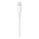 Καλώδιο σύνδεσης Apple για iPhone Lightning MXLY2ZM/A Original 1μ.