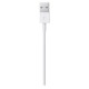 Καλώδιο σύνδεσης Apple για iPhone Lightning MXLY2ZM/A Original 1μ.
