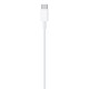 Καλώδιο σύνδεσης Apple για iPhone USB-C σε Lightning 1m MM0A3ZM/A Original