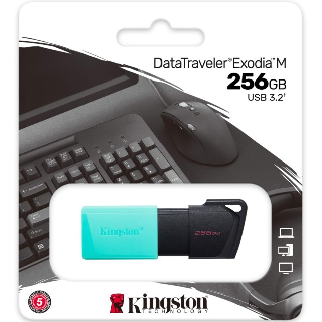 USB 3.2 Kingston Flash Drive Exodia M 256GB DTXM/256GB